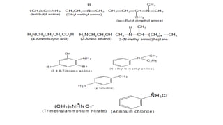 Amines class 12 ppt CBSE