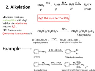 2. Alkylation
RNH2
R-X
R2NH
R-X
R3N
R-X
R4N+X-
1o 2o 3o
4o salt
SN2: R-X must be 1o or CH3
CH3CH2CH2CH2Br
NH3
CH3CH2CH2CH2NH2
n-butylamine
Amines react as a
nucleophiles with alkyl
halides via substitution
reaction SN2 .
3o Amines make
Quaternary Ammonium salt.
Example
CH3CH2CH2NH2
CH3Cl
CH3CH2CH2NHCH3
n-propylamine methyl-n-propylamine
NH2
2 CH3CH2Br
N
Et
Et
aniline N,N-diethylaniline
H2
C NH2
benzylamine
(xs) CH3I H2
C N
CH3
CH3
CH3 I
benzyltrimethylammonium iodide
 