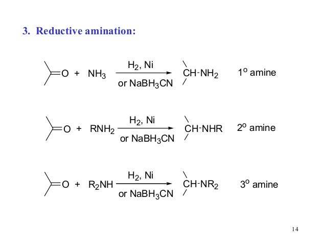 Amines And Reactions