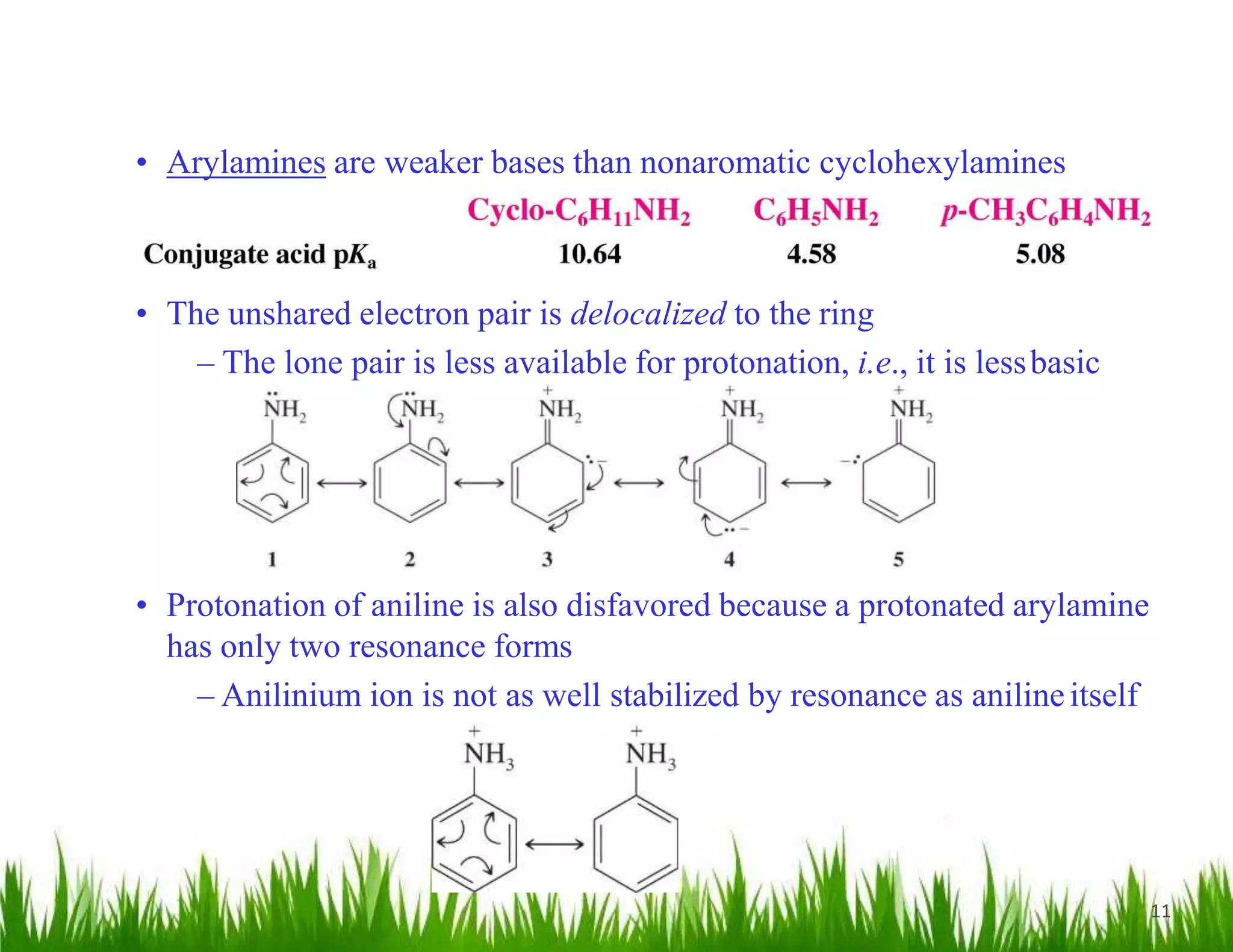 11
• Arylamines are weaker bases than nonaromatic cyclohexylamines
• The unshared electron pair is delocalized to the ring
– The lone pair is less available for protonation, i.e., it is lessbasic
• Protonation of aniline is also disfavored because a protonated arylamine
has only two resonance forms
– Anilinium ion is not as well stabilized by resonance as anilineitself
 