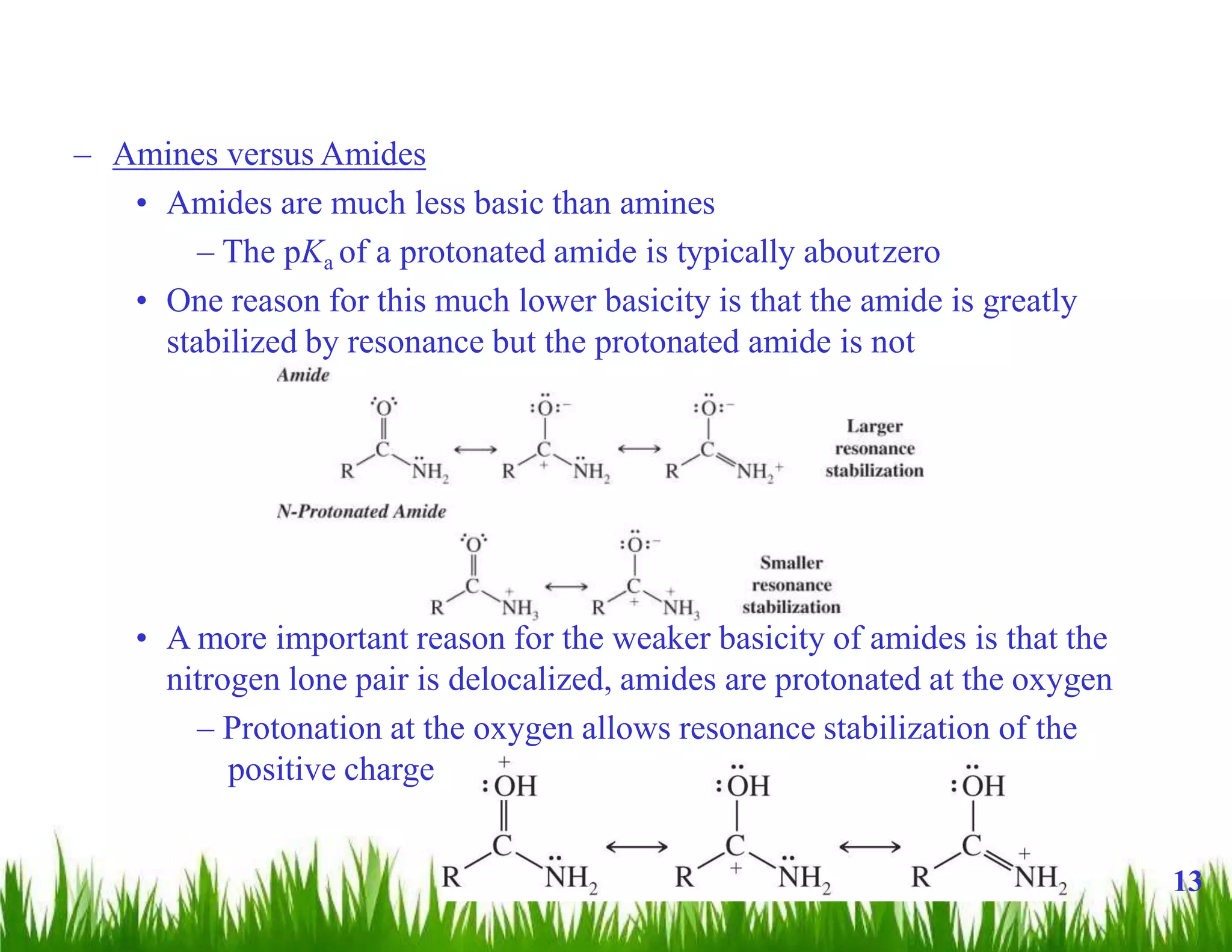 – Amines versus Amides
• Amides are much less basic than amines
– The pKa of a protonated amide is typically aboutzero
• One reason for this much lower basicity is that the amide is greatly
stabilized by resonance but the protonated amide is not
• A more important reason for the weaker basicity of amides is that the
nitrogen lone pair is delocalized, amides are protonated at the oxygen
– Protonation at the oxygen allows resonance stabilization of the
positive charge
13
 