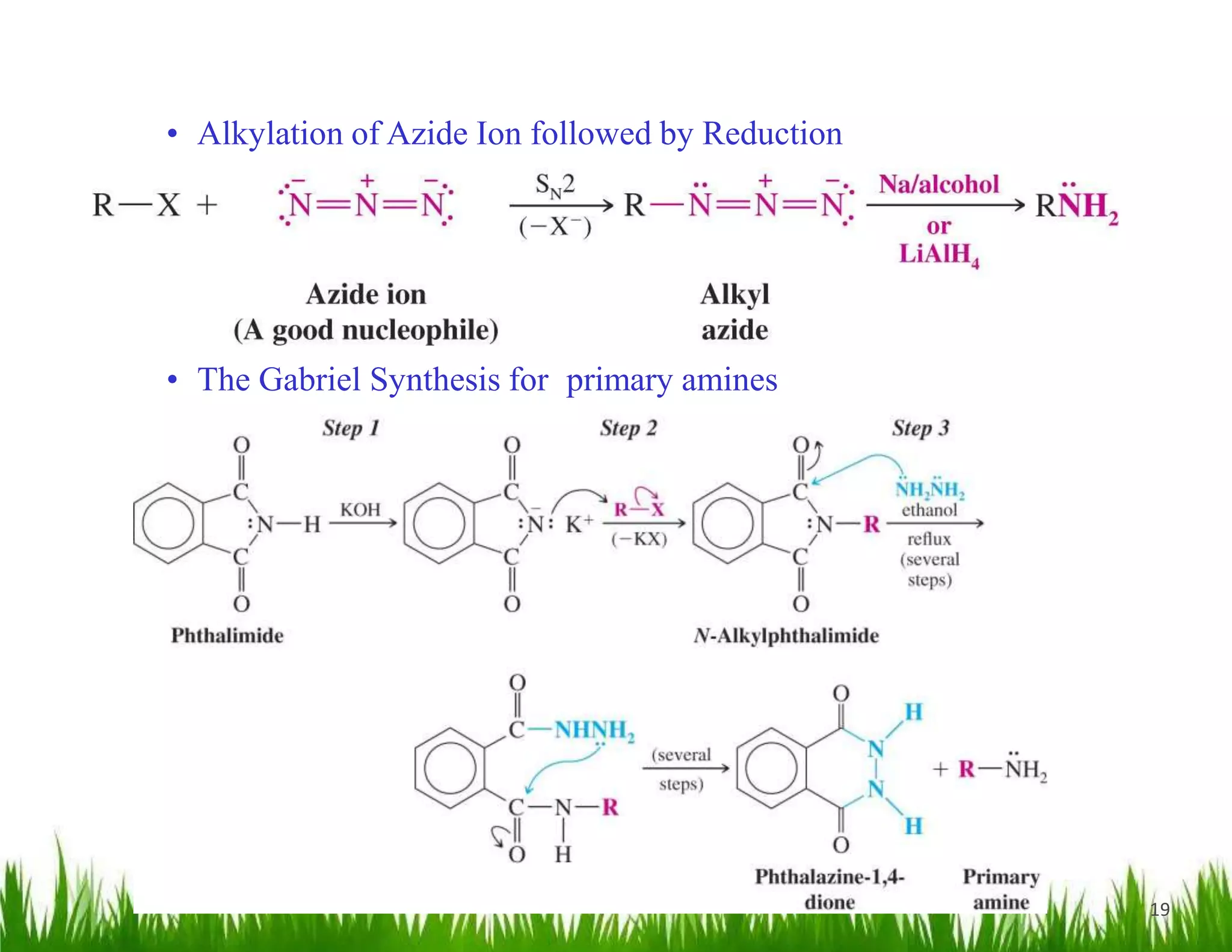 19
• Alkylation of Azide Ion followed by Reduction
• The Gabriel Synthesis for primary amines
 
