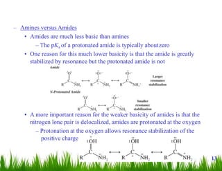 – Amines versus Amides
• Amides are much less basic than amines
– The pKa of a protonated amide is typically aboutzero
• One reason for this much lower basicity is that the amide is greatly
stabilized by resonance but the protonated amide is not
• A more important reason for the weaker basicity of amides is that the
nitrogen lone pair is delocalized, amides are protonated at the oxygen
– Protonation at the oxygen allows resonance stabilization of the
positive charge
13
 