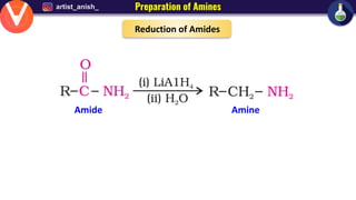 Amines short notes for class 12 chemistry | PDF