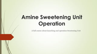 Amine Sweetening Unit
Operation
A full course about launching and operation Sweetening Unit
 