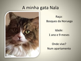 A minha gata Nala
Raça:
Bosques da Noruega
Idade:
1 ano e 9 meses
Onde vive?
Num apartamento
 