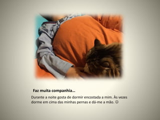 Faz muita companhia…
Durante a noite gosta de dormir encostada a mim. Às vezes
dorme em cima das minhas pernas e dá-me a mão. 
 