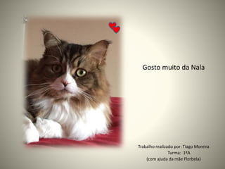 Trabalho realizado por: Tiago Moreira
Turma: 1ºA
(com ajuda da mãe Florbela)
Gosto muito da Nala
 