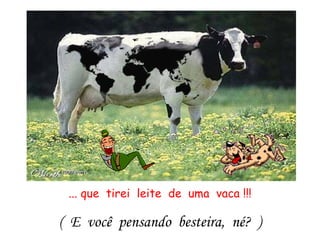 ... que  tirei  leite  de  uma  vaca !!! (  E  você  pensando  besteira,  né?  ) 
