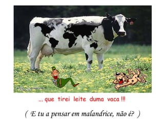 ... que tirei leite duma vaca !!!
( E tu a pensar em malandrice, não é? )
 