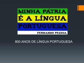 800 ANOS DE LÍNGUA PORTUGUESA
 