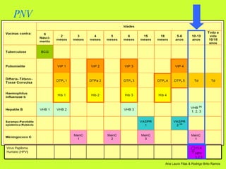 PNV HPV 1,2,3 13 A Vírus Papiloma Humano (HPV ) 