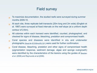 Coral diseases, coral bleaching and other health issues affecting Red ...
