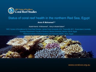 Status of coral reef health in the northern Red Sea, Egypt
                                            Amin R Mohamed1,2

                                Abdel-Hamid A Mohamed3 , Hany A Abdel-Salam2
1ARC   Center of Excellence for Coral Reef Studies, James Cook University JCU, Townsville 4811, Queensland, Australia
                    2Zoology Department, Faculty of Science, Benha University, Benha 13518, Egypt

                         3National Institute of Oceanography and Fisheries (NIOF), Suez, Egypt
 