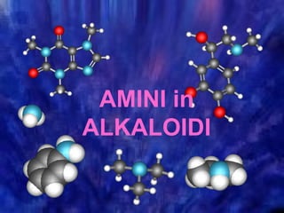 AMINI in
ALKALOIDI
 