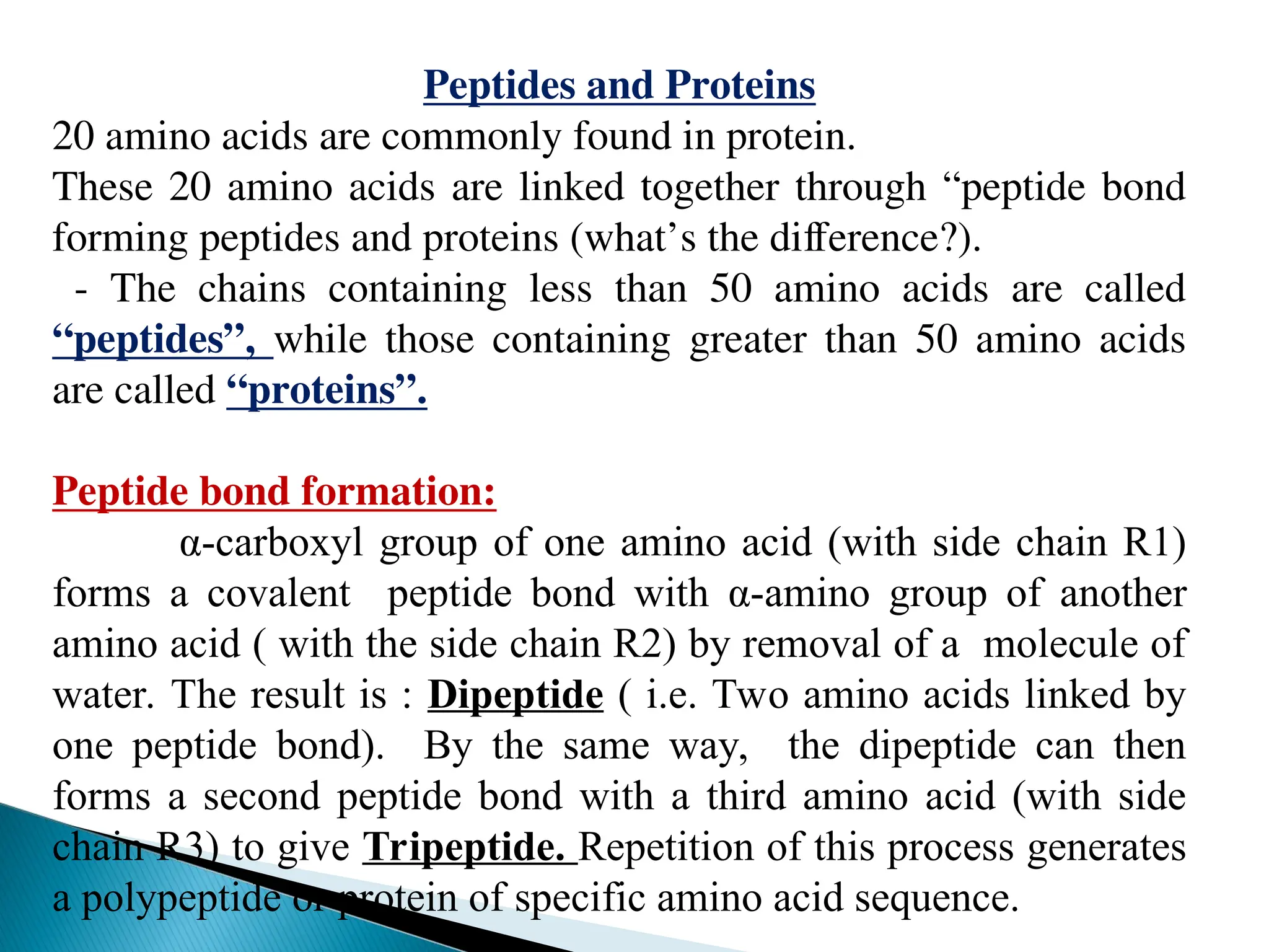 Peptides and Proteins
20 amino acids are commonly found in protein.
These 20 amino acids are linked together through “peptide bond
forming peptides and proteins (what’s the difference?).
- The chains containing less than 50 amino acids are called
“peptides”, while those containing greater than 50 amino acids
are called “proteins”.
Peptide bond formation:
α-carboxyl group of one amino acid (with side chain R1)
forms a covalent peptide bond with α-amino group of another
amino acid ( with the side chain R2) by removal of a molecule of
water. The result is : Dipeptide ( i.e. Two amino acids linked by
one peptide bond). By the same way, the dipeptide can then
forms a second peptide bond with a third amino acid (with side
chain R3) to give Tripeptide. Repetition of this process generates
a polypeptide or protein of specific amino acid sequence.
 