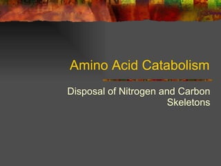 Amino Acid Catabolism Disposal of Nitrogen and Carbon Skeletons 