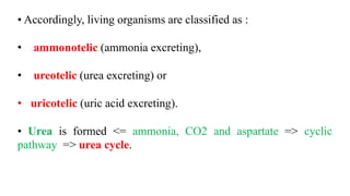 • Accordingly, living organisms are classified as :
• ammonotelic (ammonia excreting),
• ureotelic (urea excreting) or
• uricotelic (uric acid excreting).
• Urea is formed <= ammonia, CO2 and aspartate => cyclic
pathway => urea cycle.
 