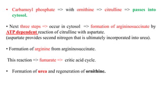 • Carbamoyl phosphate => with ornithine => citrulline => passes into
cytosol.
• Next three steps => occur in cytosol => formation of argininosuccinate by
ATP dependent reaction of citrulline with aspartate.
(aspartate provides second nitrogen that is ultimately incorporated into urea).
• Formation of arginine from argininosuccinate.
This reaction => fumarate => critic acid cycle.
• Formation of urea and regeneration of ornithine.
 