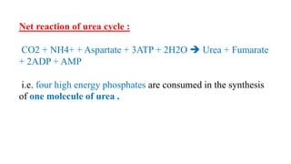 Net reaction of urea cycle :
CO2 + NH4+ + Aspartate + 3ATP + 2H2O  Urea + Fumarate
+ 2ADP + AMP
i.e. four high energy phosphates are consumed in the synthesis
of one molecule of urea .
 