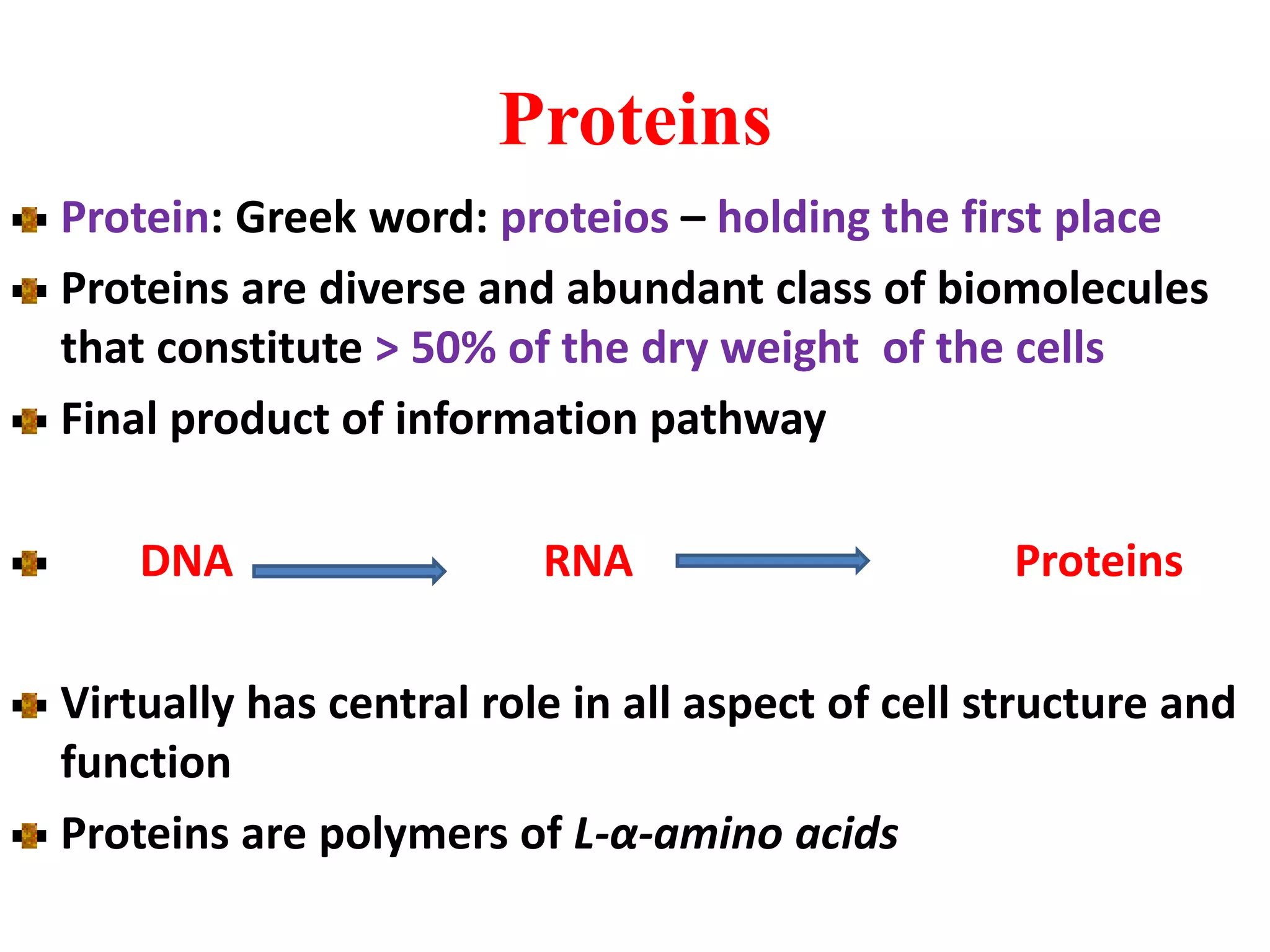 Amino-acids-and-protein..ppt