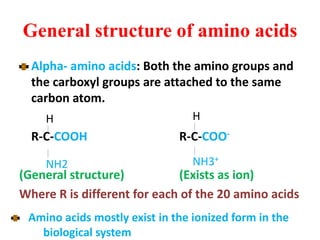 General structure of amino acids
Alpha- amino acids: Both the amino groups and
the carboxyl groups are attached to the same
carbon atom.
R-C-COOH R-C-COO-
(General structure) (Exists as ion)
Where R is different for each of the 20 amino acids
H
NH3+
H
NH2
Amino acids mostly exist in the ionized form in the
biological system
 