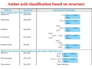 Amino acid classification based on structure
 