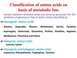 Classification of amino acids on
basis of metabolic fate
Carbon skeleton of amino acids can serve as precursor for the
synthesis of glucose or fats or both, hence classified as:
Glycogenic amino acids
Alanine, Aspartate, Glycine, Methionine, Serine, Cysteine,
Asparagine, Glutamate, Glutamine, Proline, Histidine, Arginine,
Methionine, Threonine and Valine
Ketogenic amino acids:
Leucine, Lysine
Glycogenic and ketogenic amino acids:
Isoleucine, Phenylalanine, Tryptophan, Tyrosine
 