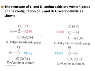 The structure of L- and D- amino acids are written based
on the configuration of L- and D- Glyceraldehyde as
shown
 