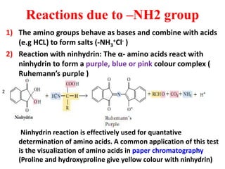 Reactions due to –NH2 group
1) The amino groups behave as bases and combine with acids
(e.g HCL) to form salts (-NH3
+Cl- )
2) Reaction with ninhydrin: The α- amino acids react with
ninhydrin to form a purple, blue or pink colour complex (
Ruhemann’s purple )
Ninhydrin reaction is effectively used for quantative
determination of amino acids. A common application of this test
is the visualization of amino acids in paper chromatography
(Proline and hydroxyproline give yellow colour with ninhydrin)
2
 