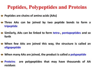 Peptides, Polypeptides and Proteins
Peptides are chains of amino acids (AAs)
Three AAs can be joined by two peptide bonds to form a
tripeptide
Similarly, AAs can be linked to form tetra-, pentapeptides and so
forth
When few AAs are joined this way, the structure is called an
oligopeptide
When many AAs are joined, the product is called a polypeptide
Proteins are polypeptides that may have thousands of AA
residues
 