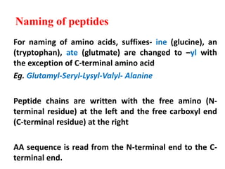 Naming of peptides
For naming of amino acids, suffixes- ine (glucine), an
(tryptophan), ate (glutmate) are changed to –yl with
the exception of C-terminal amino acid
Eg. Glutamyl-Seryl-Lysyl-Valyl- Alanine
Peptide chains are written with the free amino (N-
terminal residue) at the left and the free carboxyl end
(C-terminal residue) at the right
AA sequence is read from the N-terminal end to the C-
terminal end.
 