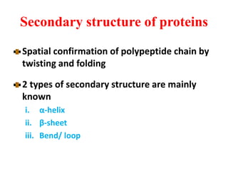 Secondary structure of proteins
Spatial confirmation of polypeptide chain by
twisting and folding
2 types of secondary structure are mainly
known
i. α-helix
ii. β-sheet
iii. Bend/ loop
 
