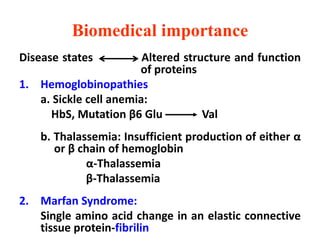 Biomedical importance
Disease states Altered structure and function
of proteins
1. Hemoglobinopathies
a. Sickle cell anemia:
HbS, Mutation β6 Glu Val
b. Thalassemia: Insufficient production of either α
or β chain of hemoglobin
α-Thalassemia
β-Thalassemia
2. Marfan Syndrome:
Single amino acid change in an elastic connective
tissue protein-fibrilin
 