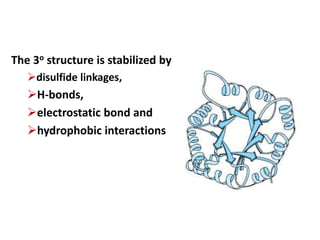 The 3o structure is stabilized by
disulfide linkages,
H-bonds,
electrostatic bond and
hydrophobic interactions
 