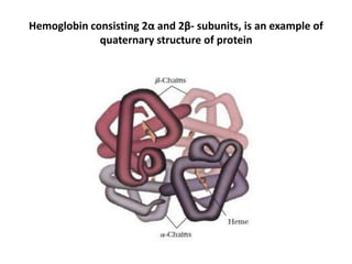 Hemoglobin consisting 2α and 2β- subunits, is an example of
quaternary structure of protein
 
