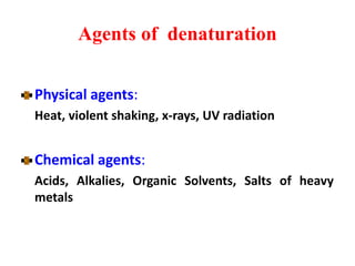 Agents of denaturation
Physical agents:
Heat, violent shaking, x-rays, UV radiation
Chemical agents:
Acids, Alkalies, Organic Solvents, Salts of heavy
metals
 