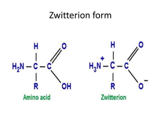 Zwitterion form