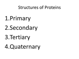Structures of Proteins
1.Primary
2.Secondary
3.Tertiary
4.Quaternary