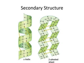 Secondary Structure