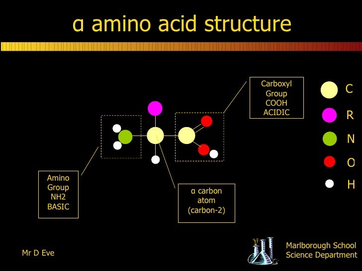 Amino acids, zwitterions And Optical Isomers
