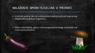 NALAŽENJE AMINO-KISELINA U PRIRODI
▪ U prirodi postoji oko 20 vrsta amino-kiselina u prirodi koje su sve
neophodne ljudskom organzmu.
▪ Neke vrste biljaka, gljiva i mikroorganizama mogu sintetisati sve
vrste amino-kiselina.
 