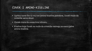 ČOVEK I AMINO-KISELINE
▪ Uprkos tome što su mu sve amino-kiseline potrebne, čovek može da
sintetiše samo deset.
▪ Ostale mora da unese kroz ishranu.
▪ Kiseline koje čovek ne može da sintetiše nazivaju se esencijalne
amino-kiseline.
 