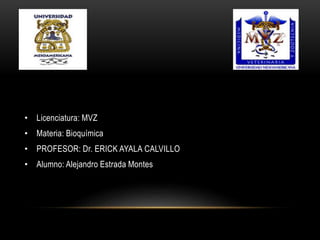 • Licenciatura: MVZ
• Materia: Bioquímica
• PROFESOR: Dr. ERICK AYALA CALVILLO
• Alumno: Alejandro Estrada Montes
 
