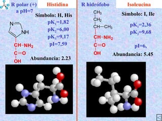Isoleucina Abundancia : 2.23 Símbolo : H, His Abundancia : 5.45 Símbolo : I, Ile Histidina pK 1 =2,36 pK 2 =9,68 pI=6, pK 1 =1,82 pK 2 =6,00 pK 3 =9,17 pI=7,59 R polar (+)  a pH=7 R hidrófobo 