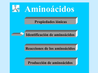 Aminoácidos Propiedades iónicas Identificación de aminoácidos Producción de aminoácidos Reacciones de los aminoácidos 