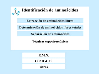 Identificación de aminoácidos R.M.N. O.R.D.-C.D. R.M.N. O.R.D.-C.D. Otras Otras Técnicas espectroscópicas Determinación de aminoácidos libres totales Extracción de aminoácidos libres   Separación de aminoácidos Extracción de aminoácidos libres   