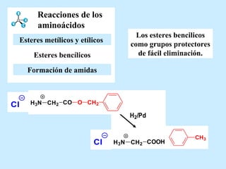 Reacciones de los aminoácidos Los esteres bencilicos como grupos protectores de fácil eliminación. Esteres bencílicos Formación de amidas Esteres metílicos y etílicos   