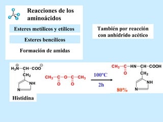 Reacciones de los aminoácidos También por reacción con anhídrido acético Histidina 80% Esteres bencílicos Formación de amidas Esteres metílicos y etílicos   100ºC  2h 