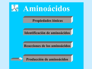 Aminoácidos Propiedades iónicas Identificación de aminoácidos Producción de aminoácidos Reacciones de los aminoácidos 